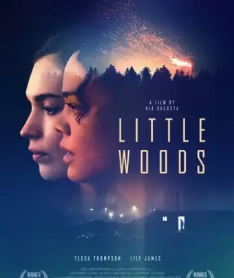 Лесок / Little Woods