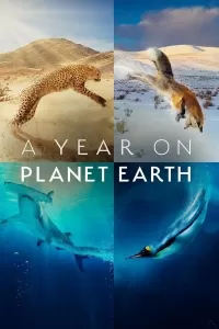 Год на планете Земля / A Year on Planet Earth